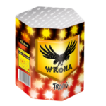 TB 33 - Wrona